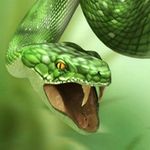 Darrell Hamm - @hammdarrell - Instagram