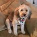 Darrell Hamm - Facebook