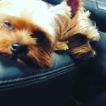 Darrell handy - @djhandy5569 - Instagram