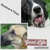 Darrell Hesseltine - @darrell.hesseltin - TikTok