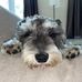 Darrell Howard - Facebook