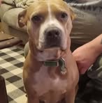 Darrell Huff - Facebook