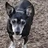 darrell.huff - @darrell.huff - TikTok