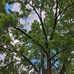 Darrell Hughes - Facebook