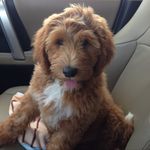 DHulsey - @darrellhulsey - Instagram