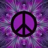 Darrell Humphrey - @darrell.humphrey84 - TikTok