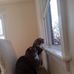 Darrell Hutchison - Facebook
