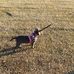 Darrell Jamieson - Facebook