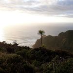 Darryl Jeffries - @zencatnz - Instagram