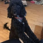 Darrell Jensen - @djensen1964 - Instagram