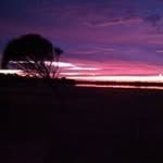 darrell jensen - @jensendarrell - Instagram