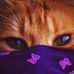Darrell Jimenez - Facebook