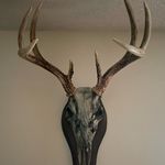 Darrell Johnson - @darrell.johnson.5095 - Instagram