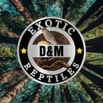 Darrell Johnston - @dmexoticreptiles - Instagram