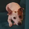 Darrell Johnston - @darrell.johnston8 - TikTok