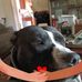 Darrell Justice - Facebook
