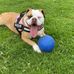 Kayden Darwell - Facebook