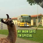 Darrell Kees - Facebook