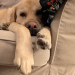 Darrell Keith - @tipsterdad - Instagram