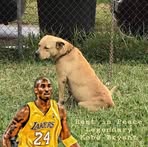 Darrell Kentle - Facebook