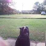 Darrell Kersey - @kerseydarrell - Instagram