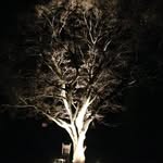 Darrell Kinney - @darrell.kinney - Instagram