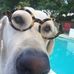 Darrell Kirkland - Facebook