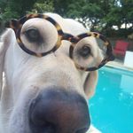 Darrell Kirkland - @darrell.kirkland - Instagram