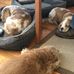 Darryl Knapp - Facebook