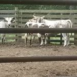 Darrell Knighten - @knightendarrell - Instagram