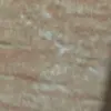 darrelknott - @knottinwood_ - TikTok