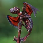 Darrell Knotts - @darrellknotts - Instagram