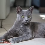 Darell Kopp - @darellkopp1995 - Instagram