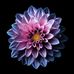 Darren Kryschuk - Facebook