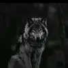 Darrell Blake - @darrell.blake - TikTok