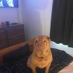 Darrell Lambert - @darrell.lambert.1829 - Instagram