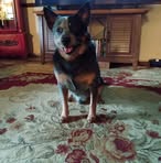 Darrell Lawrence - Facebook