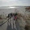 darrell leach - @darrell.leach7 - TikTok