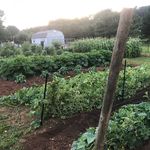 Darrell Lingle - @darrell_lingle - Instagram