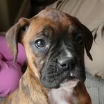 Darrell May - @darrellrmay - Instagram
