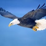 Darrell May - @darrellmay1559 - Instagram