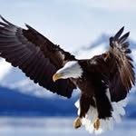Darrell May - @dmay24929 - Instagram