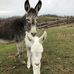 Darrell Mayes - Facebook