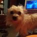 Darrell McDonald - Facebook