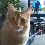 Darrell McLean - @darrell.mclean.14 - Instagram