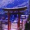 Darrell Mock - @darrell.mock7 - TikTok
