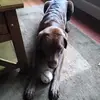 darrellmullins94 - @darrellmullins94 - TikTok