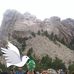 Darrell Newell - Facebook