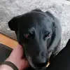 Darrell Newell - @darrell.newell3 - TikTok