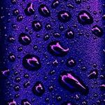 Darrell Orr - @darrell.orr.18 - Instagram